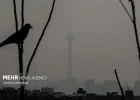 هوای تهران آلوده است