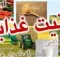 راستی آزمایی یک ادعا
