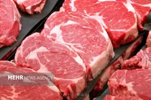 معافیت گمرکی برای واردات گوشت قرمز منجمد