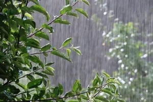 اخطار هواشناسی نسبت به بارندگی های سنگین از ۲۰ مهرماه در کشور