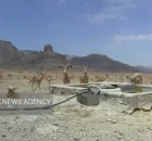 تانکر آب غیر مجاز توقیف و به حیات وحش پارک ملی کلاه قاضی اهدا شد