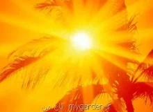 رکورد گرمای ۴۶ و نیم درجه ای برای اهواز