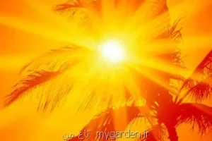 رکورد گرمای ۴۶ و نیم درجه ای برای اهواز