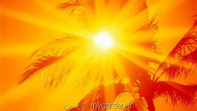 رکورد گرمای ۴۶ و نیم درجه ای برای اهواز