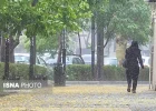پیشبینی بارندگی های پاییزی تهران لایروبی کانال ها و مسیل ها در دستور کار شهرداری