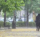 پیشبینی بارندگی های پاییزی تهران لایروبی کانال ها و مسیل ها در دستور کار شهرداری