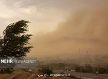 ایران و چین برای مهار گردوغبار در بیشتر از ۴۸ هزار هکتار همکاری می کنند