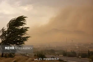 ایران و چین برای مهار گردوغبار در بیشتر از ۴۸ هزار هکتار همکاری می کنند
