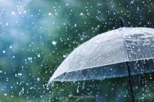 بارندگی باران در تهران از پس از ظهر امروز دهم مهر
