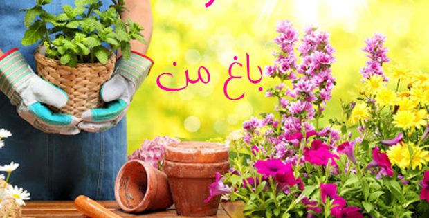 گربه پالاس بار دیگر در ارتفاعات مهدیشهر مشاهده شد